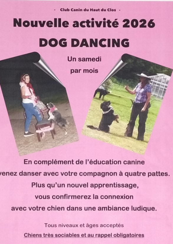 image représentant une éducatrice avec son chien lui apprenant a danser