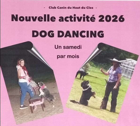 Nouvelle Activité 2026 – Dog Dancing – sur inscription