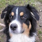 Virgule