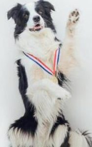 Résultats passage de groupe -Mai 2026-